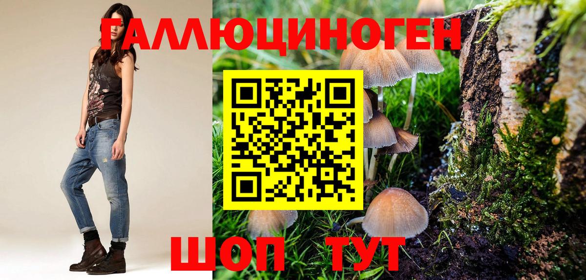 Галлюциногенные грибы GOLDEN TEACHER Лобня